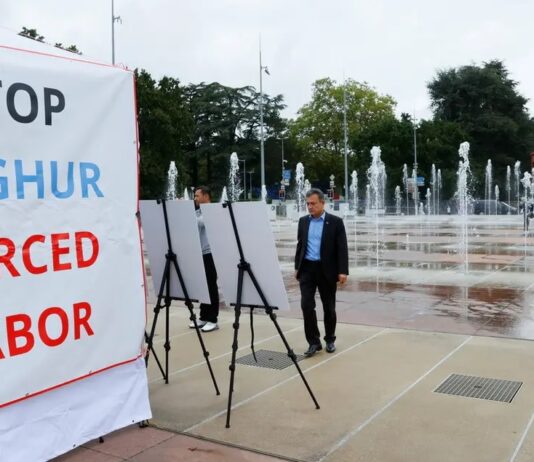 Germany urges ‘transparent probe’ into Uyghur abuse claims: Foreign ministry
