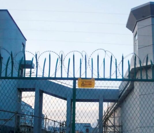 Hacked Xinjiang files reveal China’s Uyghur genocide details: ‘Just kill them’