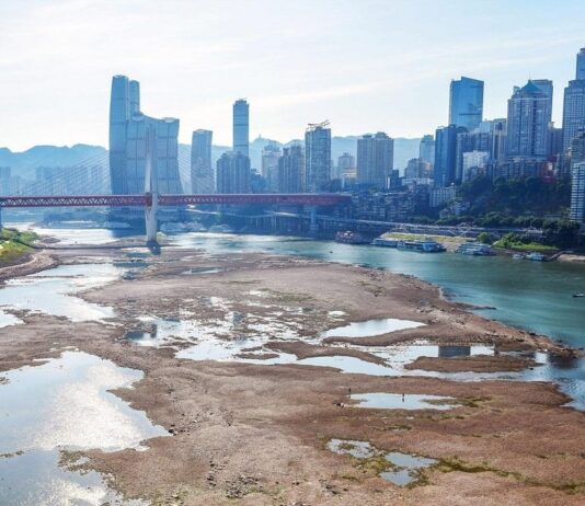 ‘Severe’ heatwave in China puts autumn harvest at risk