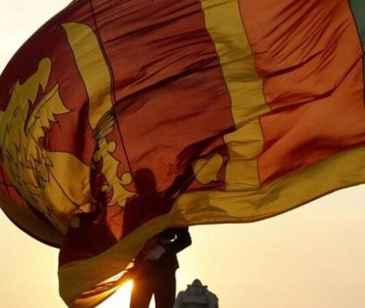 Toxic acids from China-funded Norochcholai Coal Power Plant could affect Maha Bodhi tree in Sri Lanka: Report