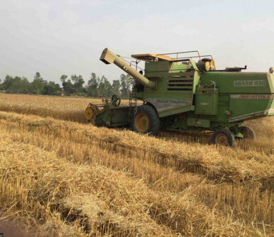 India clears export of 300,000 tonnes of wheat to Nepal