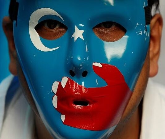 AI tool identifies Chinese products linked to Uyghur forced labour: Report