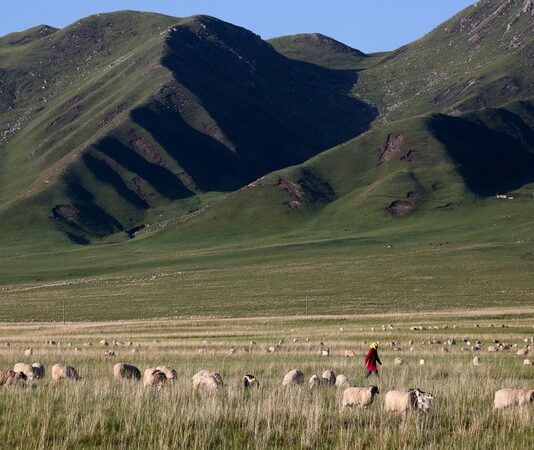 China forcibly seizes Tibetan farmers’ land to build hydropower dam: Report
