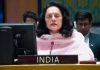India takes veiled swipe at China, Pak in UN over blocking proposals to blacklist terrorists