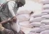 Gilgit-Baltistan governor, Pak president Arif Alvi discusses hike in subsidised wheat prices as protest continues