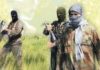 UNSC: Al-Qaeda sets up training camps in Afghanistan provinces