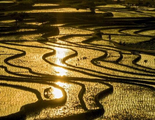 China probes rural minister Tang Renjian for ‘serious violations’