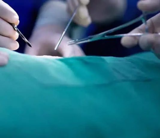 China faces allegations of trading ‘halal organs’ forcibly harvested from Uyghurs