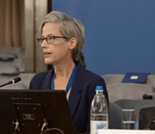 UN rapporteur wants constitutional tweaks reviewed
