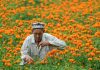 China’s farm sector more tainted by forced labor than previously known, report says