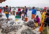 Chinese-backed Chancay Port threatens Peru’s fishing industry and local economy