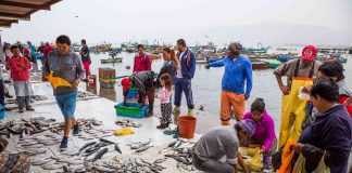 Chinese-backed Chancay Port threatens Peru’s fishing industry and local economy