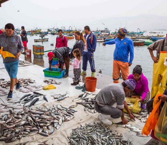 Chinese-backed Chancay Port threatens Peru’s fishing industry and local economy