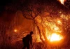 92,000 people under evacuation due to Los Angeles wildfires