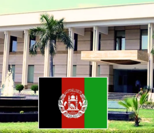 Afghan embassy says concerned at ‘detention of 800 nationals’