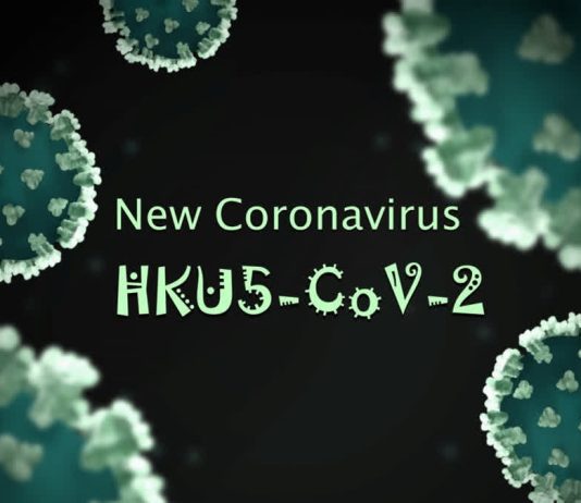 Deadly bat coronavirus HKU5-CoV-2 found in China triggers alarm