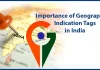 India’s fruit exports expand into western markets with GI tags driving growth