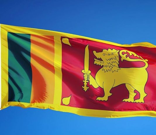 Sri Lanka President discusses Energy Sector strategy amid CEB’s financial struggles