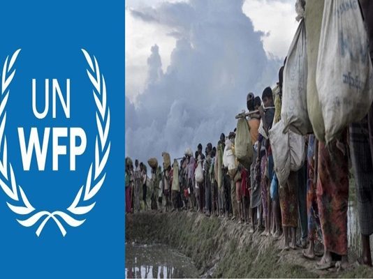 UN halts plan to halve refugee rations for Rohingya in Bangladesh