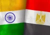 India, Egypt explore strategic skill development partnership