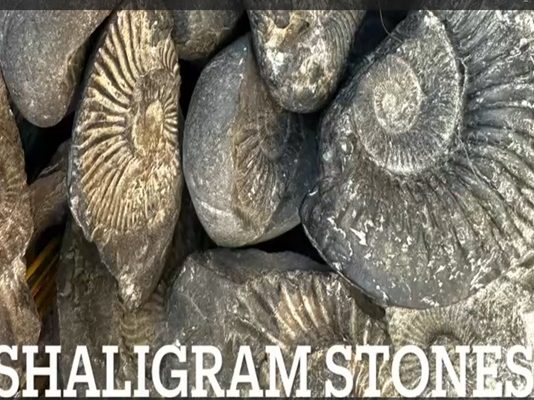 Nepal: 34 sacks of illegally obtained Shaligram stones confiscated in Mustang