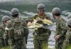 Japan starts emergency inspections on nearly 200 military training planes after crash