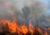 Wildfires burn in Turkey and France as early heatwave hits
