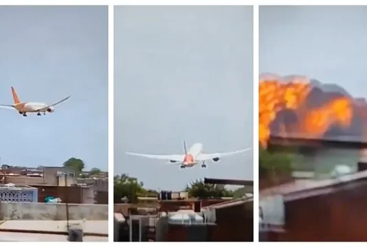Ahmedabad Air India Tragedy: Four Theories, Including Bird Strike, Under Investigation