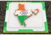 Semiconductor Growth: India Expected to Hit $110 Billion Market by 2030