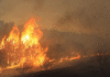Heatwave-Driven Wildfire Prompts Mass Evacuations in Southern California