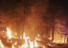 Deadly Wildfire Ravages Southern France, Thousands of Hectares Lost
