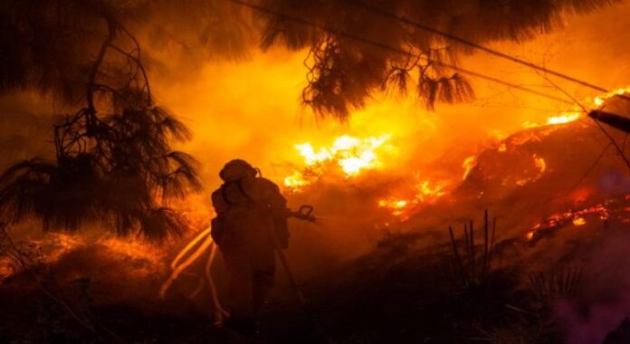 wildfire-768x419 (1)