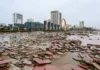 Typhoon Bualoi Strikes Vietnam, Leaving 19 Dead and 13 Missing