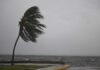Tragedy in Jamaica: Hurricane Melissa Claims 45 Lives, Dozens Missing