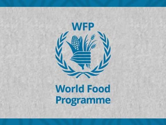 WFP Warns 3.5 Million Afghan Children at Risk of Severe Malnutrition