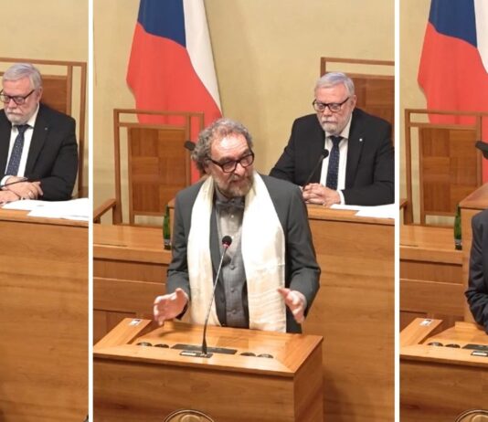 China’s ‘Meddling’ in Dalai Lama Reincarnation Draws Criticism from Czech Senate