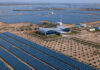 India-UAE Clean Energy Boost as Adani Green Arm Signs Key Pact