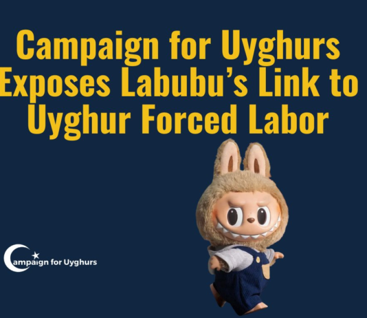 Forced Labor Law Alarm: Lab Testing Flags Cotton in Select Labubu Dolls in China