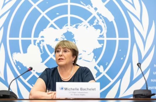 UNSG Candidate Michelle Bachelet Calls for Urgent Reform of UN Security Council