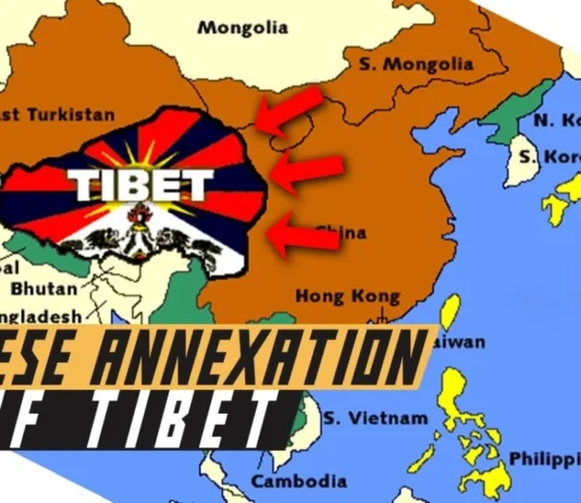 China’s New Solar Power Plant in Tibet Sparks Questions