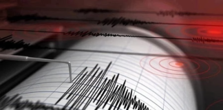 Major Seismic Event Strikes Near Mexico as 7.4 Quake Hits Coastline