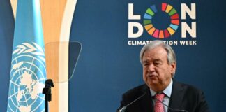 UN Chief Calls on AI Firms to Report Energy and Environmental Impact