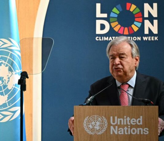 UN Chief Calls on AI Firms to Report Energy and Environmental Impact