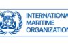 IMO pauses Strait of Hormuz ship evacuation efforts