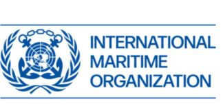 IMO pauses Strait of Hormuz ship evacuation efforts