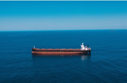 Strait of Hormuz: IMO Sets Out Plan to Evacuate 11,000 Stranded Seafarers