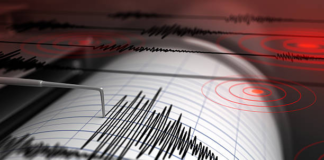 Japan on Alert After 7.1-Magnitude Quake Triggers Tsunami Advisory
