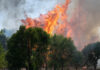 Wildfire Crisis Deepens in Spain, Emergency Declared
