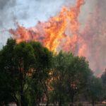 Wildfire Crisis Deepens in Spain, Emergency Declared