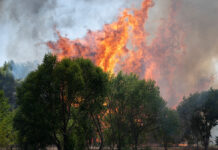 Wildfire Crisis Deepens in Spain, Emergency Declared